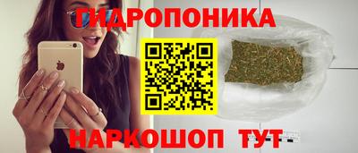 крисы Ирбит