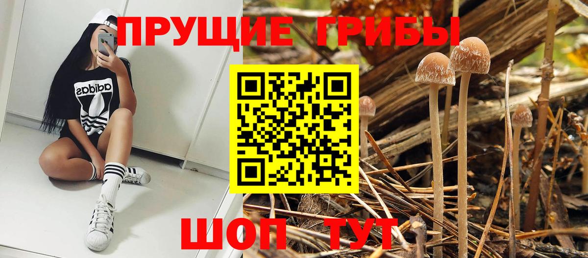 Псилоцибиновые грибы ЛСД  Галлюциногенные грибы прущие грибы  закладки  Всеволожск  Вход с VPN 